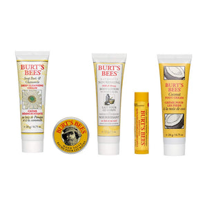 Burt's Bees Essential Everyday Beauty Gift Set